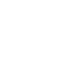 專(zhuān)業(yè)的AI智能技術(shù)